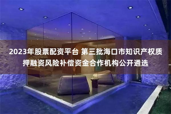 2023年股票配资平台 第三批海口市知识产权质押融资风险补偿资金合作机构公开遴选