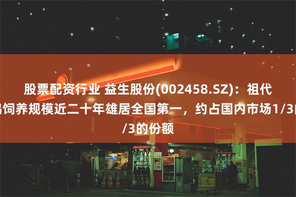 股票配资行业 益生股份(002458.SZ)：祖代肉种鸡饲养