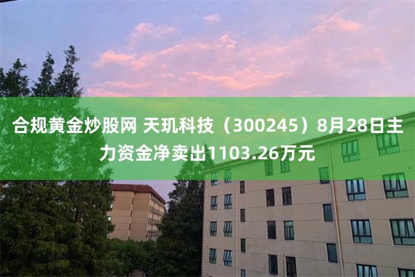 合规黄金炒股网 天玑科技（300245）8月28日主力资金净