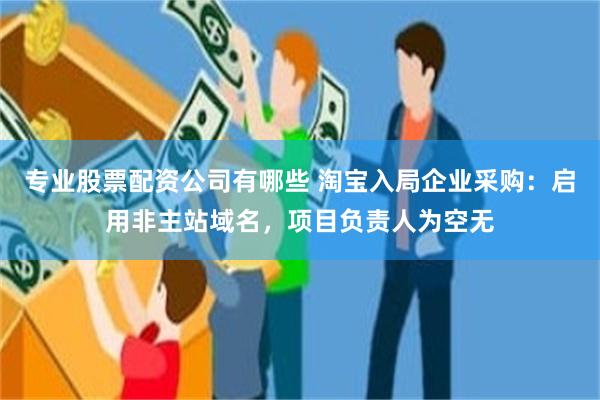 专业股票配资公司有哪些 淘宝入局企业采购：启用非主站域名，项