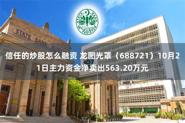 信任的炒股怎么融资 龙图光罩（688721）10月21日主力