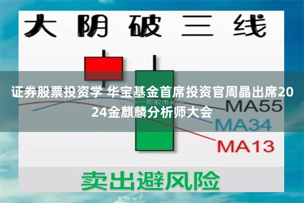 证券股票投资学 华宝基金首席投资官周晶出席2024金麒麟分析