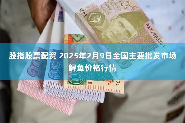 股指股票配资 2025年2月9日全国主要批发市场鲟鱼价格行情