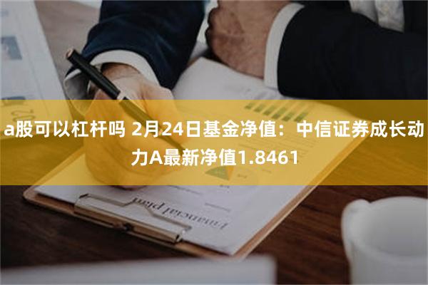 a股可以杠杆吗 2月24日基金净值：中信证券成长动力A最新净